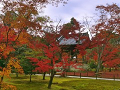 東福寺