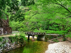 愛知県民の森にて