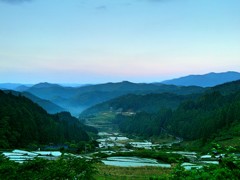 四谷千枚田の朝