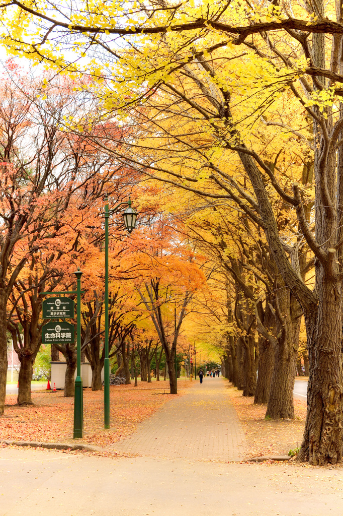 通学路