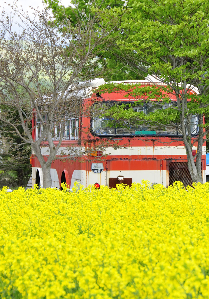 _動くことのないバス