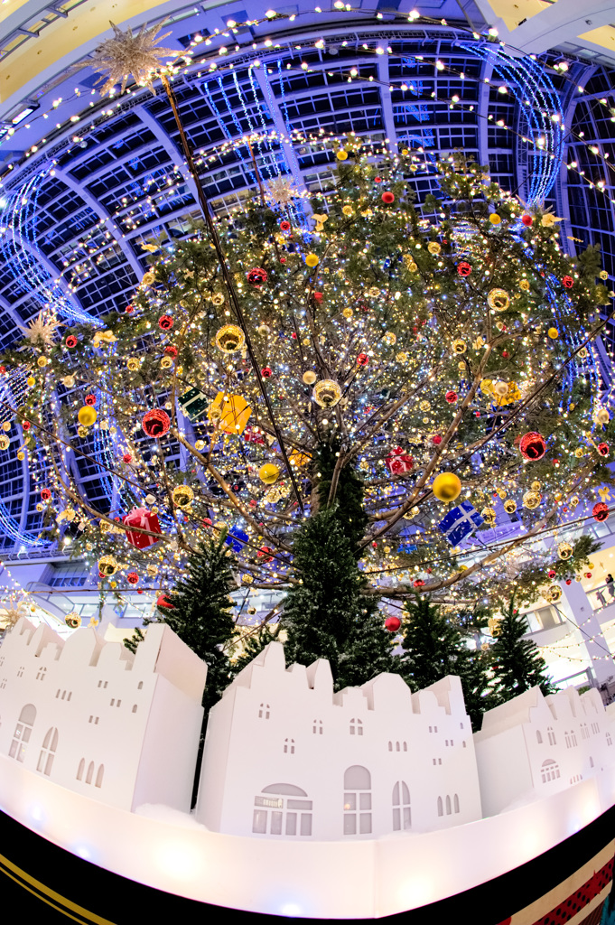 クリスマスツリーを真下から