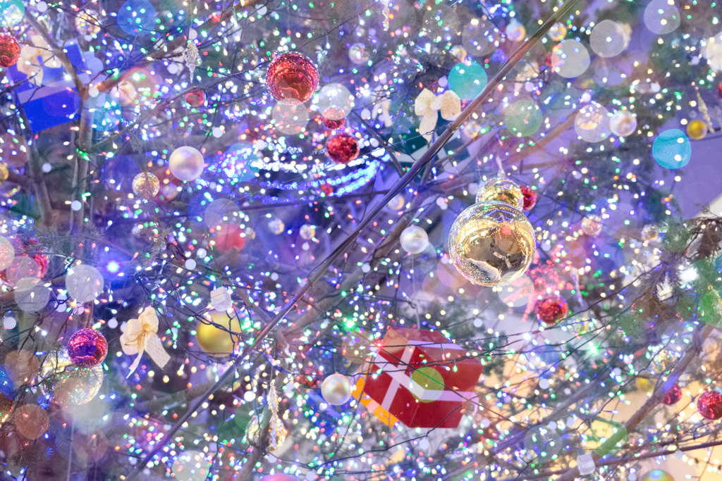 ☆きらきら☆