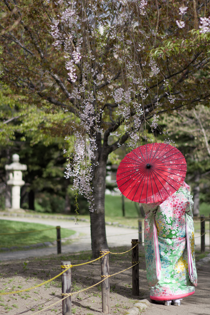 春の門出