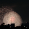 東京湾大華火祭 