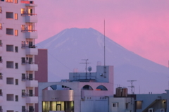 富士山が見えた！