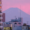 富士山が見えた！