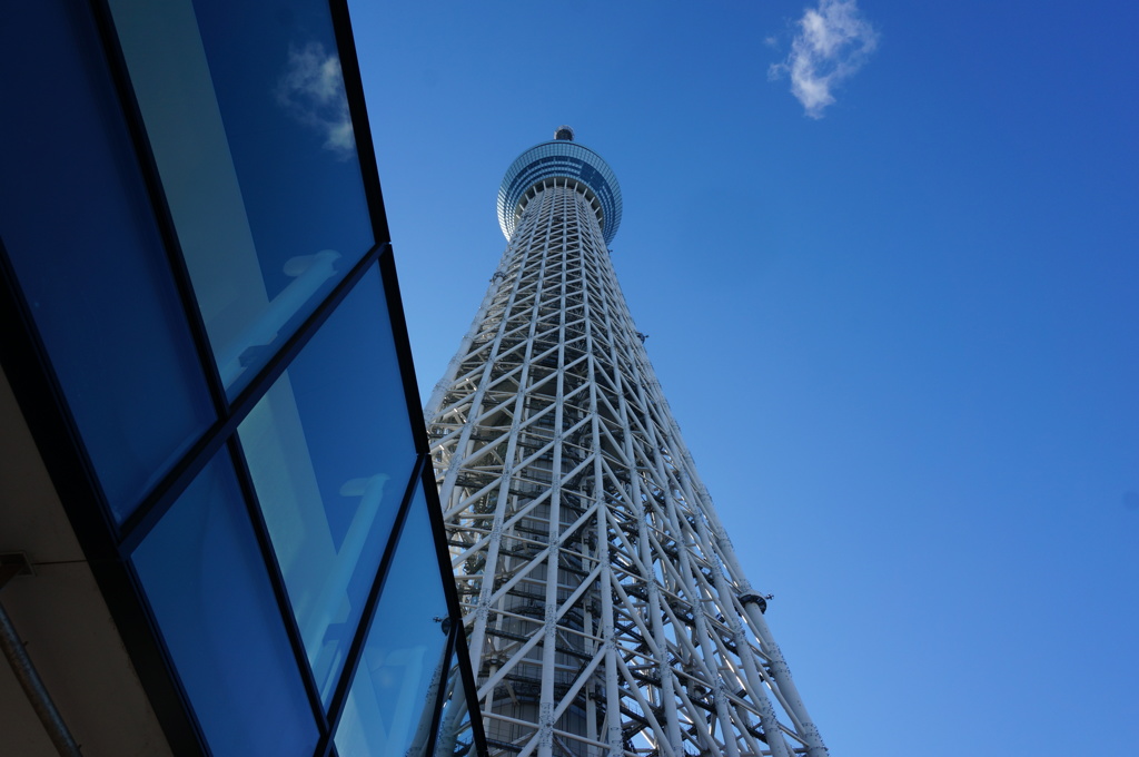 Japan③