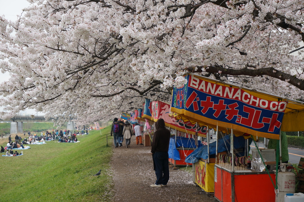Japan①