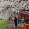 Japan①
