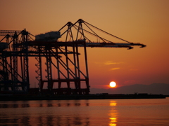 キリンの夕暮れ