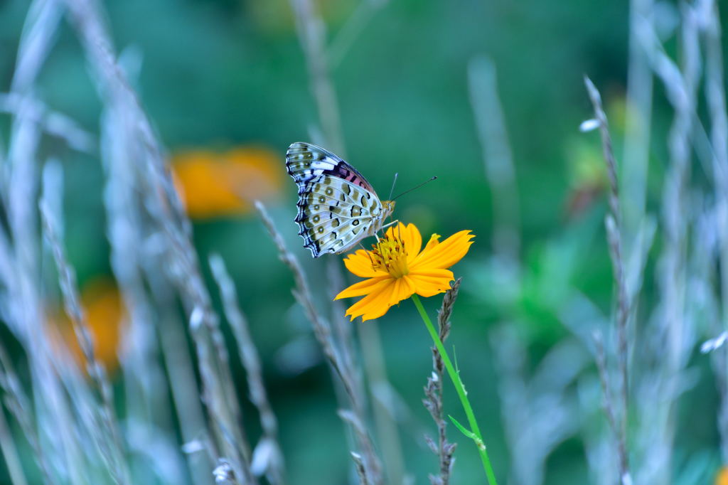 また会いたいね3