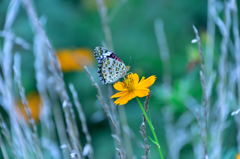 また会いたいね3