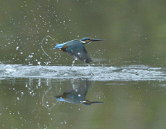 飛び出し 飛び出し