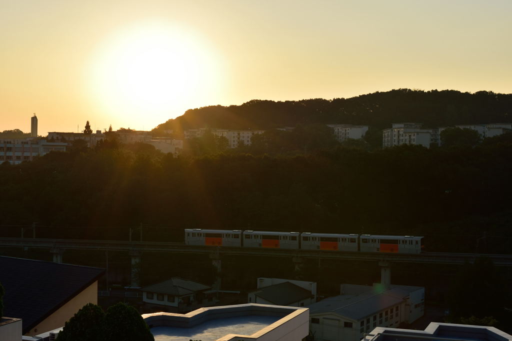 多摩の夜明けと一番電車