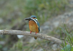 ちょっと大き過ぎない? ちょっと大き過ぎない?