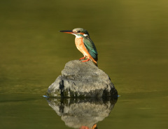 石に乗る 石に乗る