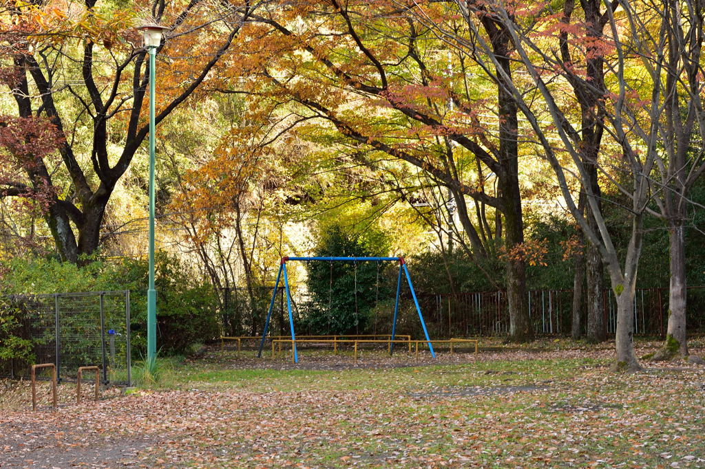 公園、ブランコ