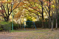 公園、ブランコ