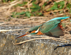 飛び出し 飛び出し