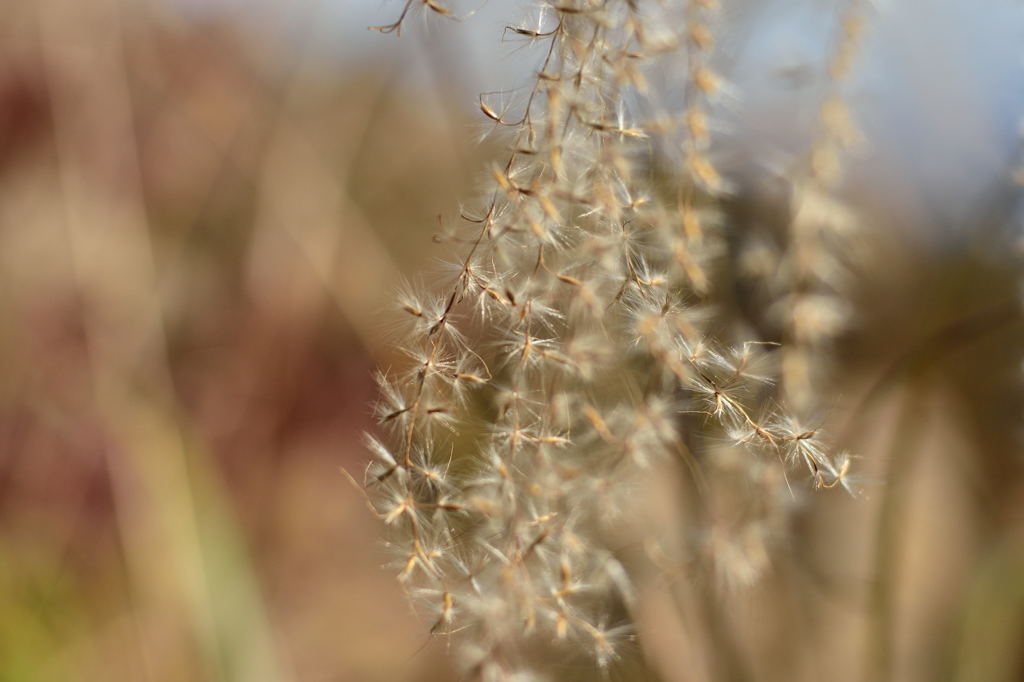 高尾の風に吹かれて