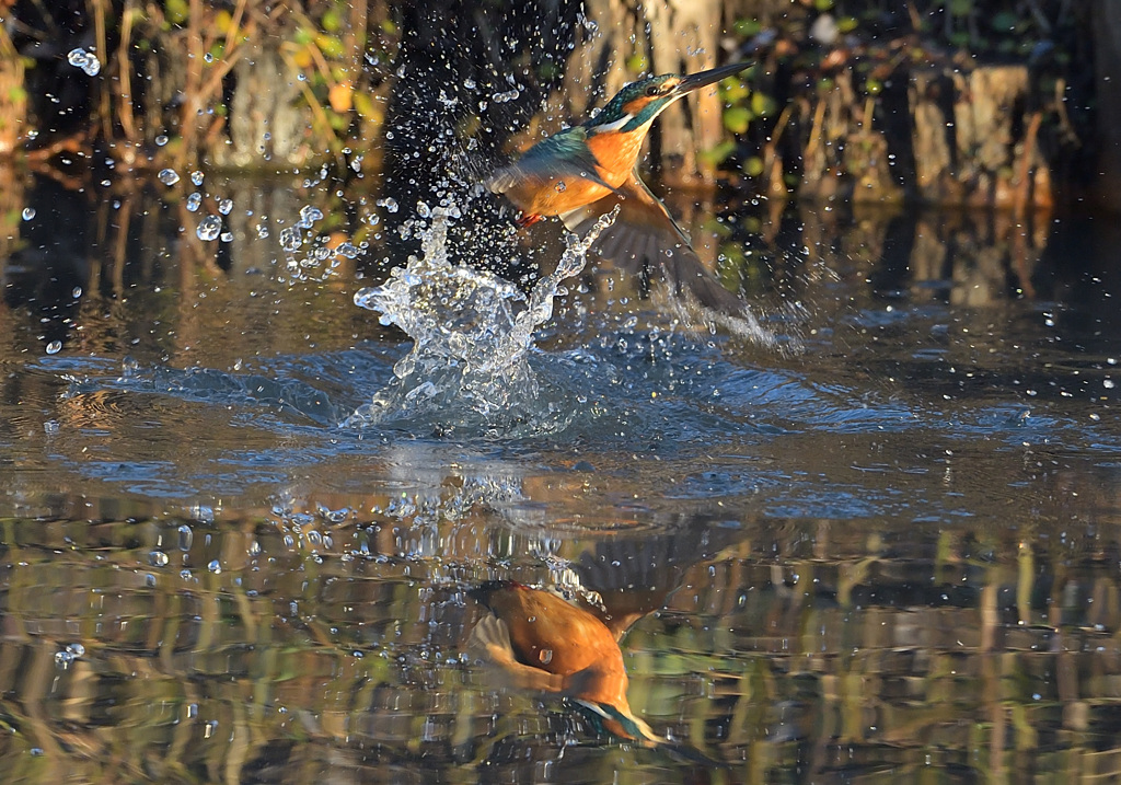 水出