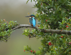 お立ち台 お立ち台