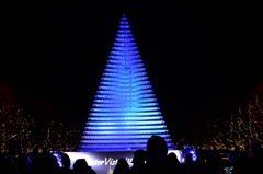 シャンパングラス