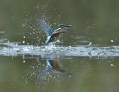 飛び出し 飛び出し