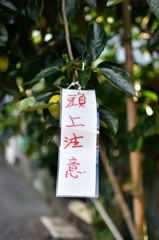 散歩途中の頭上注意