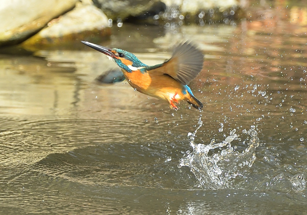 飛び出し