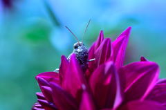 なに見てんだよ！