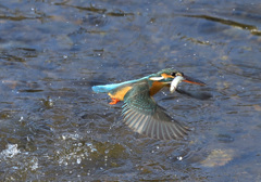 飛び出し10 飛び出し10