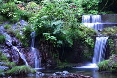 払沢の小川2