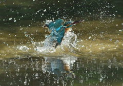 水浴び