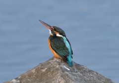 空を見る 空を見る