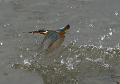 飛び出し2 飛び出し2