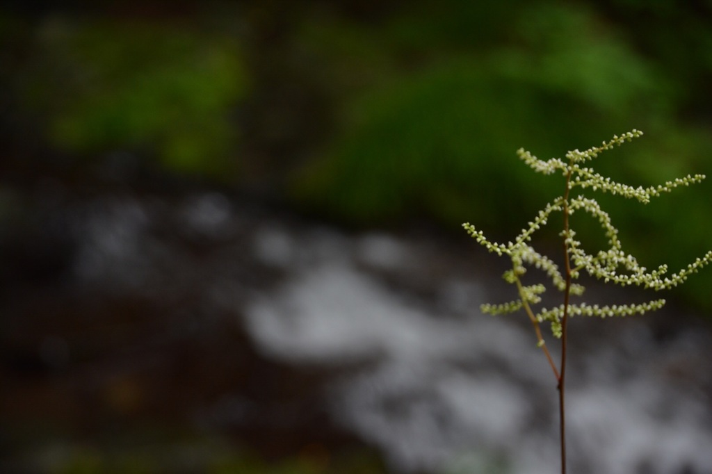 桧原村払沢の滝5