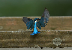 よっこらしょ！