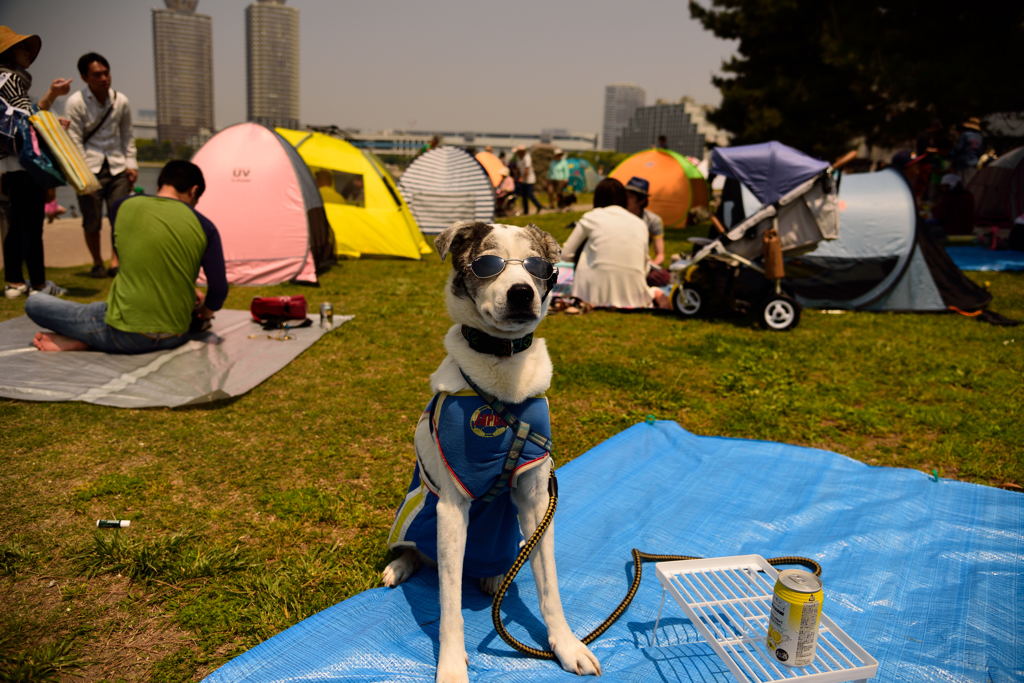 紫外線強いからサングラスしないとね。
