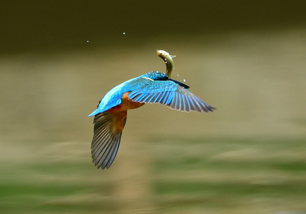 落とすなよ―！