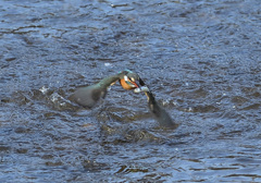 飛び出し6 飛び出し6