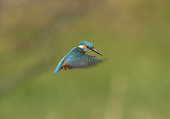 新年初ホバ3 新年初ホバ3