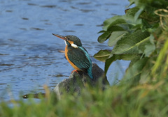 石の上・・・何を想う 石の上・・・何を想う