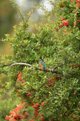 ピラに抱かれて ピラに抱かれて