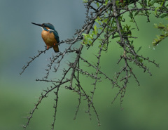 8：16モモバック3