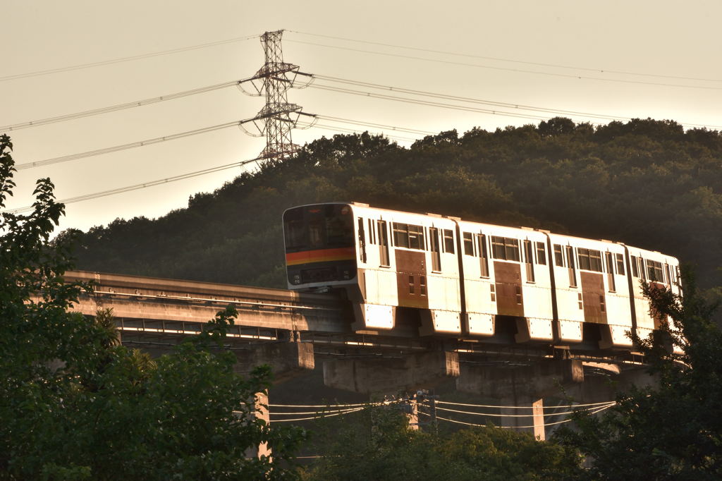 多摩モノレール-2