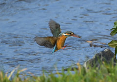 着陸1秒前 着陸1秒前