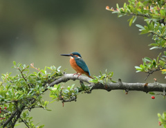 お立ち台 お立ち台