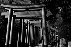 神が通る道